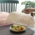 Colorful fashion green plastic fly-proof food cover dish mesh food cover