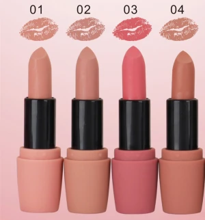 Cosmetic Supplier Popular Lipstick Tube Matte Lipstick Wholesale