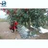CPP Shrink Film Agricultural Reflective Film Metalized CPP Film