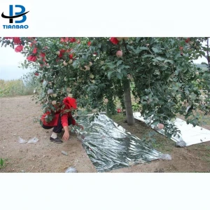 CPP Shrink Film Agricultural Reflective Film Metalized CPP Film