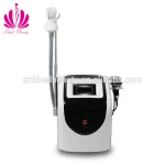 Cryolipolysis RF Fat Freezing Slimming Equipment (S095)