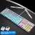 Import Customizable Backlit Mechanical Gaming RGB Keyboard For PC Gamer Z6 from China