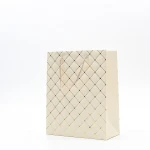 Customized Brand Print Your Own Logo Pure Color Luxury Boutique Shopping Paper Bags Gift Bags Handbags With Ribbon