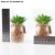 Import Desk Decoration Artificial Succulent Plant, Artificial Plant in Bonsai Port from China