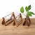 Import Desktop Glass Planter Bulb Vase Retro Solid Wooden Stand and Metal Swivel Holder for Hydroponics Plants Home Garden Wedding Deco from China