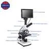 Digital Camera Video Price 50x1000 digital Polarizing electric microscope