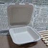 disposable and compostable bagasse to go food container