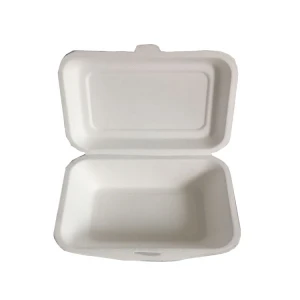 Disposable Container With Lid Bagasse Food Container Disposable Tableware