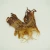 Import Dried Squid Head/Tentacle from Malaysia