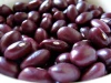 Dried Type and Kidney Beans Product Type Light Spe..