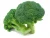 Import Egypt high bulk frozen broccoli with reasonable price from Egypt