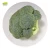 Import Export Wholesale High Quality Organic Chinese Green Broccoli from China