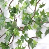 Fabulous Boston Ivy Wall Hanging or Wire Twining Decoration for Plant Lover