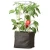 Import Factory direct sales are welcome felt grow bags for plant from China