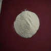Factory supply Bacillus subtilis natto /nattokinase 20000FU/g Nattokinase powder