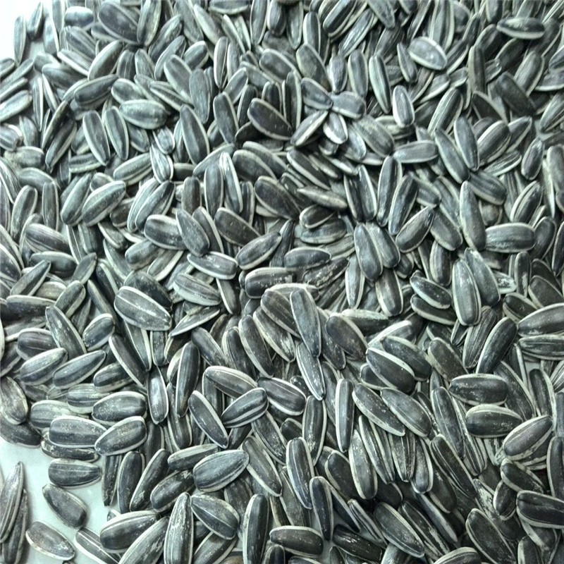 Fashionable Chinese Roasted Salted Sunflower Seeds