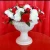 Import Fashionable plastic white good quality flower pots in bulk from China