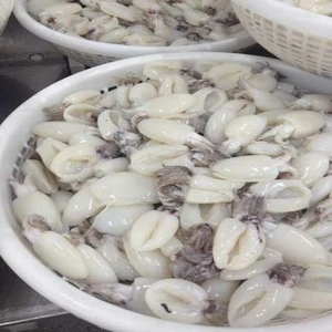 FDA/HACCP/ISO FROZEN WHOLE CLEANED CUTTLEFISH IN VIET NAM