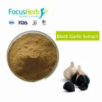 Focusherb 10:1 Black Garlic Extract