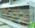 Import Food preservation fruit&amp;vegetable&amp;beverage showcase refrigerator in supermarket from China