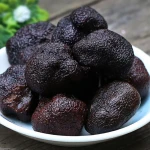 Free sample fresh shiitake  truffles Flower spawn Fungus mushroom