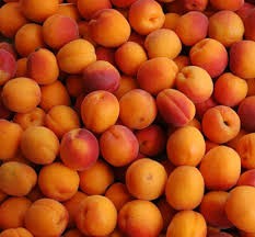 FRESH APRICOTS/New Crop Fresh Apricots Fruit/Natural Fresh Apricots/Fresh Apricots Fruit for sale