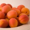 Fresh Cannes apricots