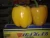 Import fresh capsicum for sale from Egypt