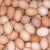 Import Fresh Farm White and Brown Chicken Table Eggs  From South Africa from South Africa