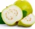 Import fresh guava fruit from USA