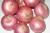 Import Fresh Onion from Pakistan ( Naqshbandi Enterprises ) from Pakistan