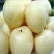 Import Fresh Pears from Canada