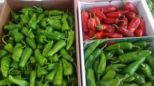 Fresh pepper, organic Capsicum, color pepper (green, red, yellow) chilli, black pepper, spices, vegetable, onions