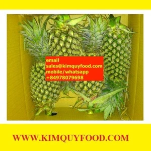 FRESH PINEAPPLE FRUIT from kimquyfood.com - The best price for Queen Victoria PINEAPPLE FRUIT