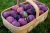 Import Fresh Plums For Sell from South Africa