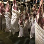 Fresh/Chilled Lamb Meat for sale
