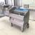 Import Frozen Meat with Ribs Slicer Machine Cooked Bacon Cutter Fresh Buffalo Meat Chopper from China