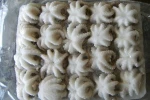 Frozen Octopus