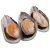 Import Frozen shellfish half shell Mussel from China