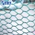 Import galvanized hexagonal wire netting/ hexagonal wire mesh/chicken wire mesh 2015 Plastic Coated Hexagonal Wire Netting for sale from China