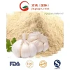 Garlic Extract Allicin Powder for Feed Grade