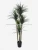 Import giant artificial plants 160cm plastic yucca tree in UV resistance for outdoor from China