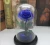 Gift Roses Flowers DIY Stabilized Preserved Flower Forever Eternal Rose in Glass Dome, preserved rose in glass