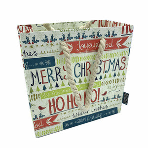 Good In Stock Printed Recycle Christmas Holiday paper carrier bag for shopping
