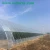 Import Good Quality  Garden Greenhouse Plastic Tunnel Greenhouse for Sale from China
