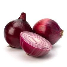 Good Quality Indian Fresh Onion