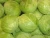 Import Grade A Fresh Cabbages/Fresh round cabbages/Fresh Frozen cabbages from Austria