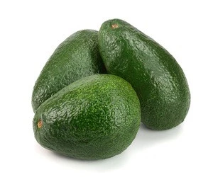 GRADE FRESH AVOCADO/Fresh avocado