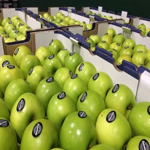 Granny Smith Apples For Sale