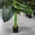 Import green bonsai indoor landscaping decoration venue ornament artificial plant from China